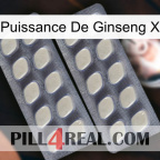 Ginseng Power X 07
